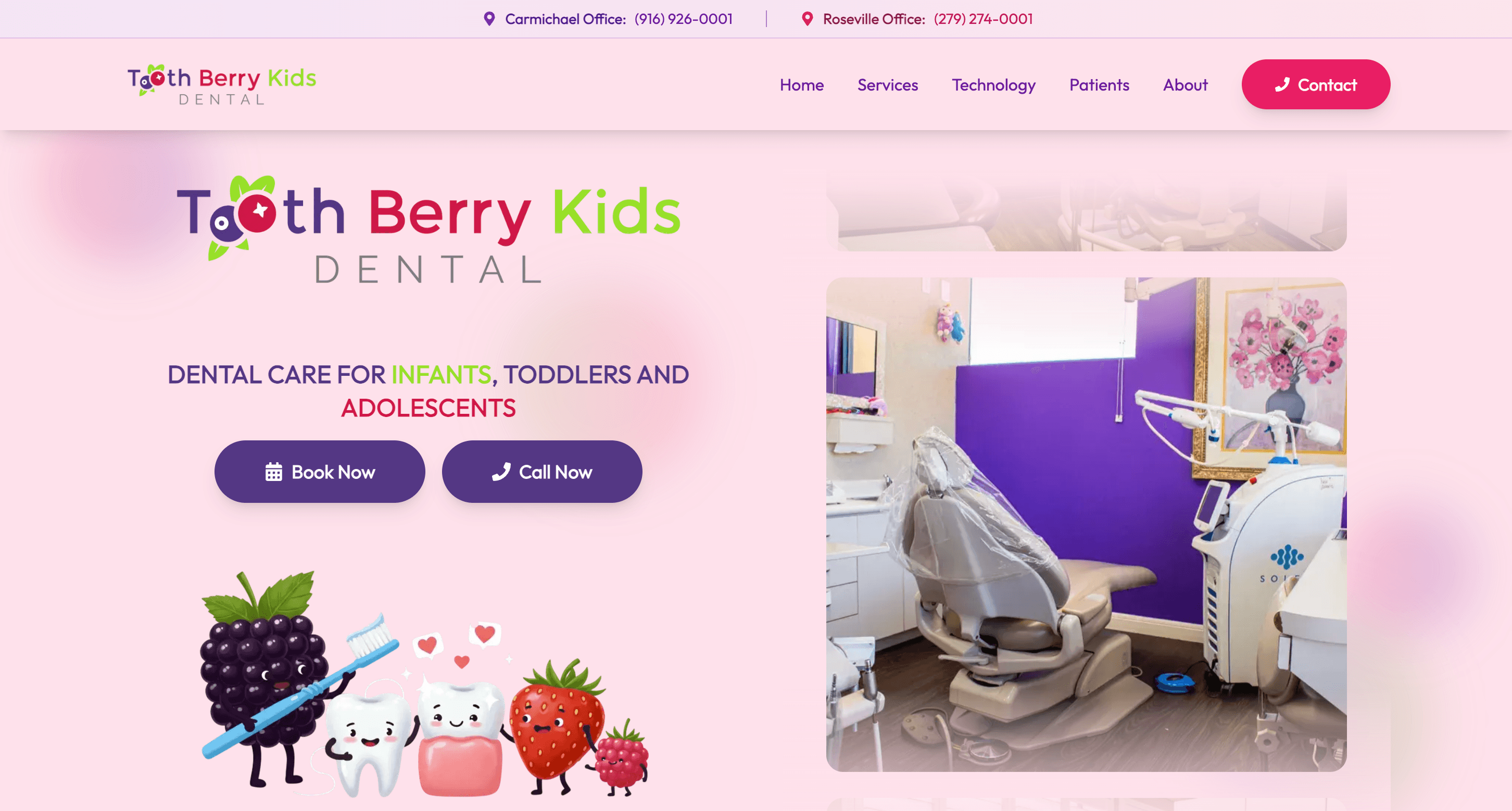 Tooth Berry Kids Dental homepage